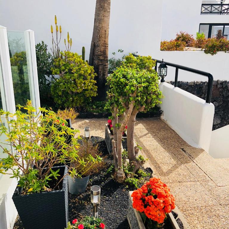 Casita CHAO Puerto del Carmen - Apartment with Sea View - 14