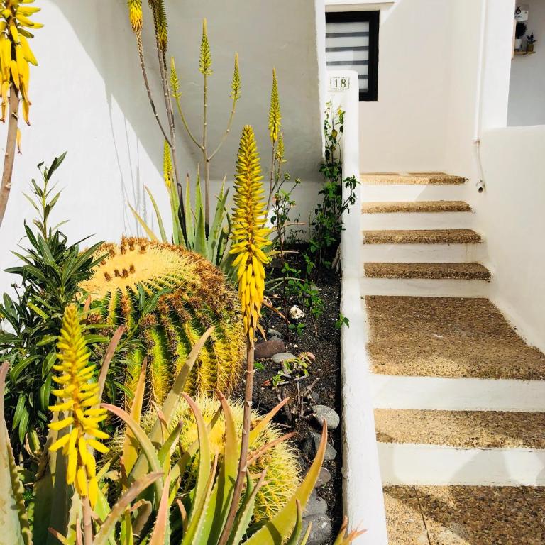 Casita CHAO Puerto del Carmen - Apartment with Sea View - 56