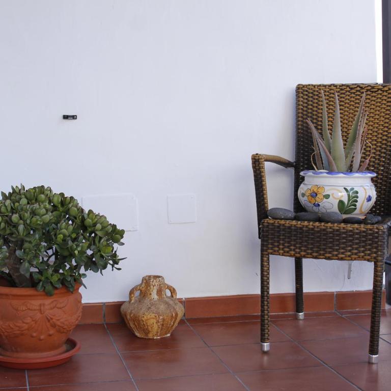 Apartamento Steffi - Apartamento de 2 dormitorios - 14