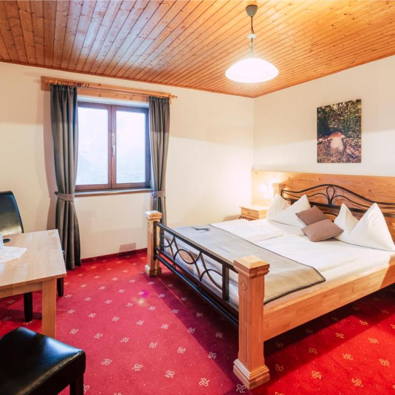 Hotel Schwengerer - Habitación Doble Estándar - 1