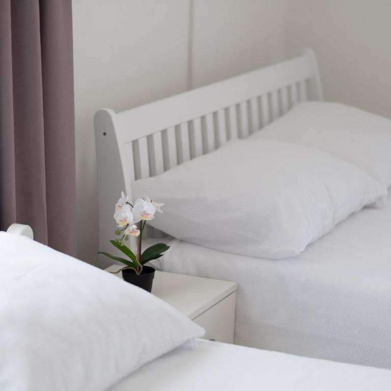 Apartmani Vila Kosa - Apartman - 5