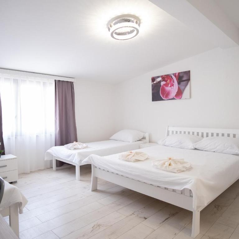 Apartmani Vila Kosa - Apartman - 3
