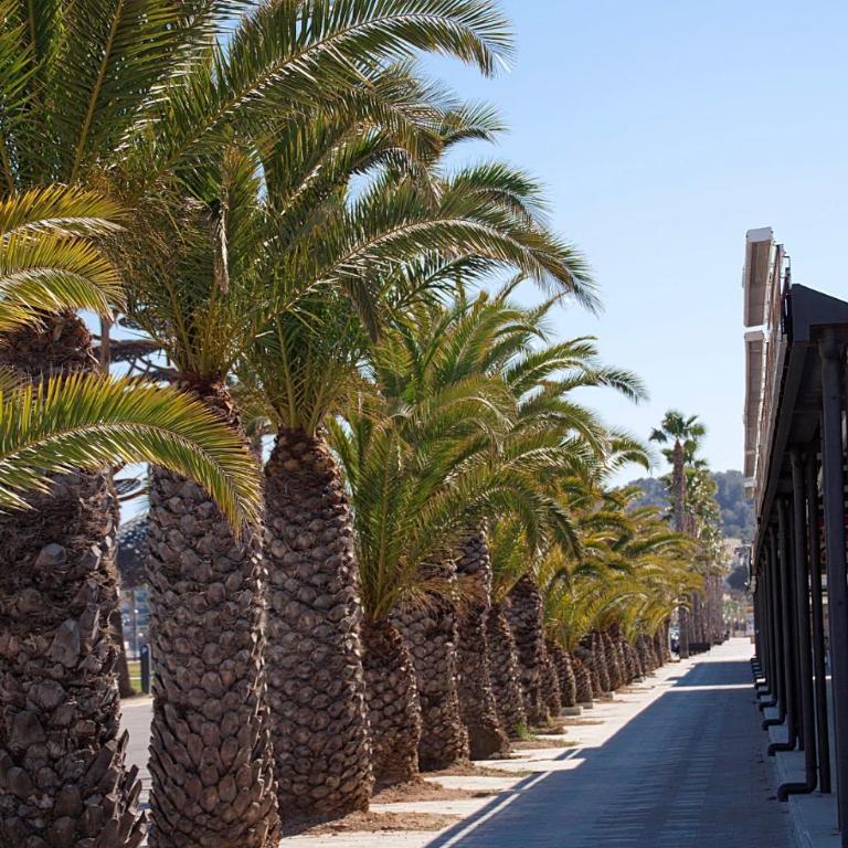 Super Apartamento en playa de la Pineda - Apartment - 17