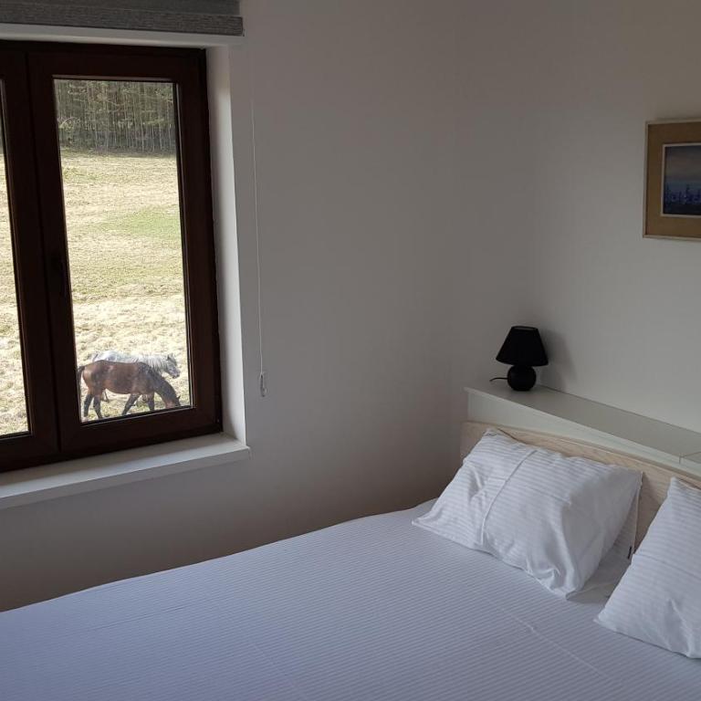 VNB apartman Tornik-Zlatibor - Duplex Apartment - 47