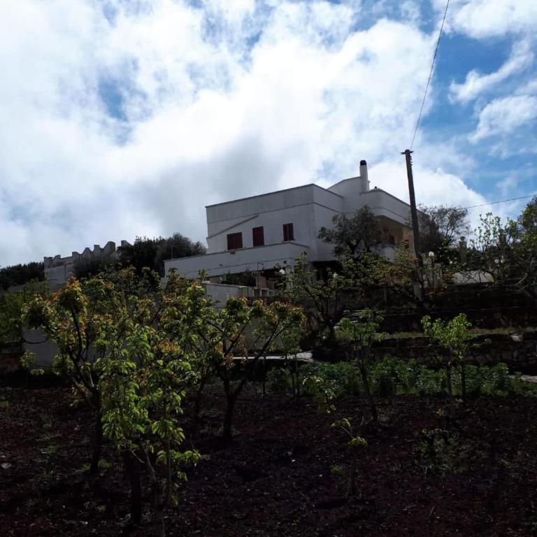 Villa Lilla - Casa Vacanze - 52