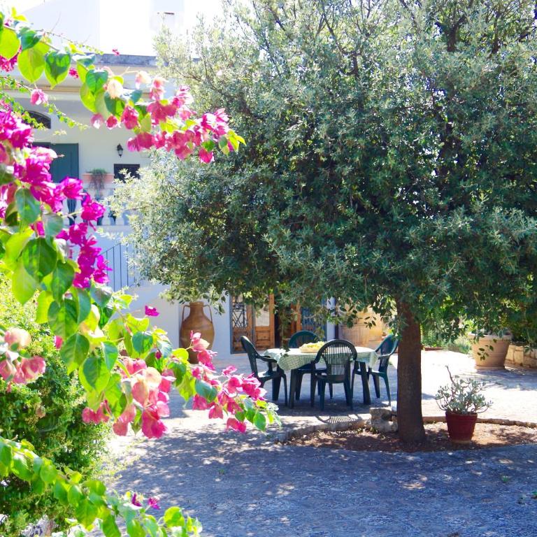 Piccola Oasi San Nicola - Appartamento con 2 Camere da Letto - 1