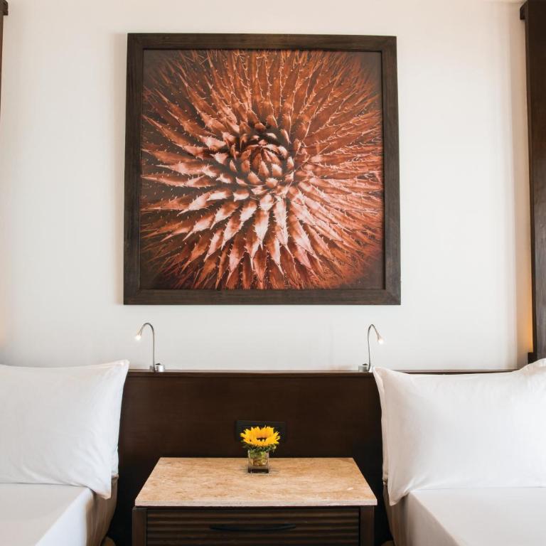 Hyatt Ziva Los Cabos - All Inclusive - Master Double Room - Swim Up (Adults Only) - 4