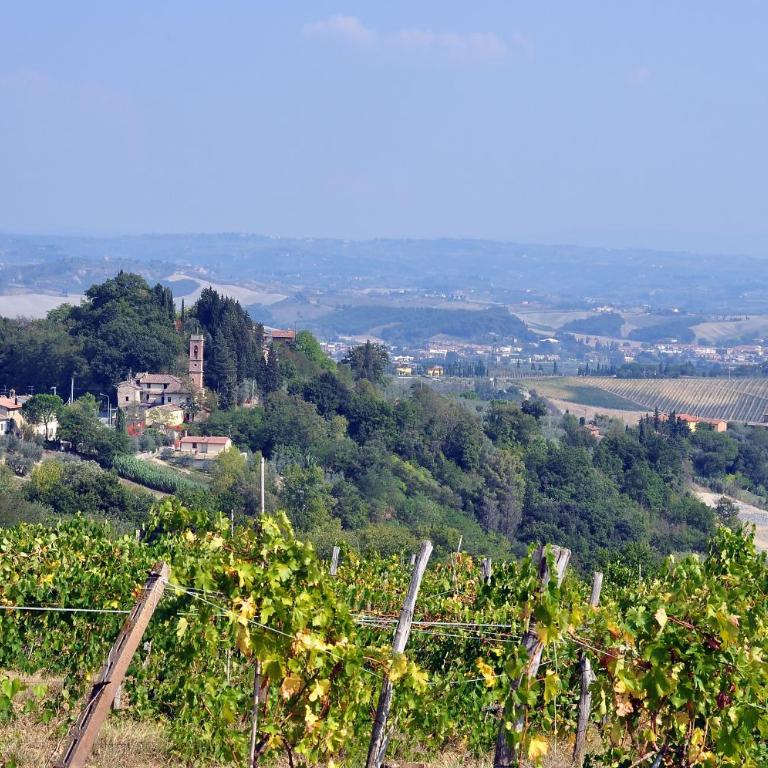 AGRITURISMO IL PINO - APPARTAMENTO CIPRESSO - Appartamento con 2 Camere da Letto - 47