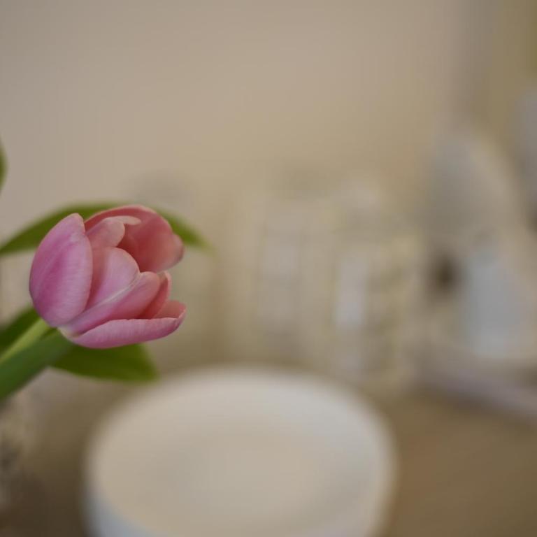 B&B Siracusa Holidays - Triple Room with Private External Bathroom - 8