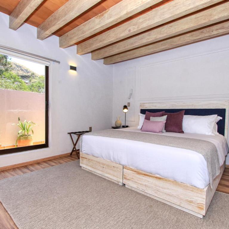 Casa Florencia Hotel Boutique - Junior Suite - 5