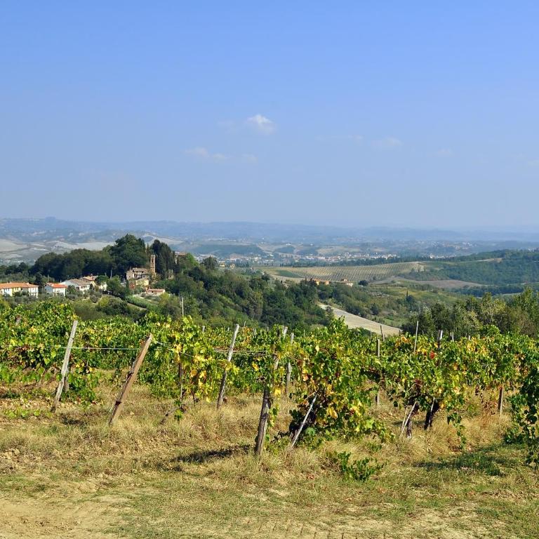 AGRITURISMO IL PINO - APPARTAMENTO CIPRESSO - Appartamento con 2 Camere da Letto - 41