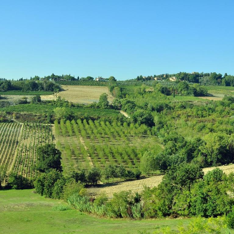 AGRITURISMO IL PINO - APPARTAMENTO CIPRESSO - Appartamento con 2 Camere da Letto - 42