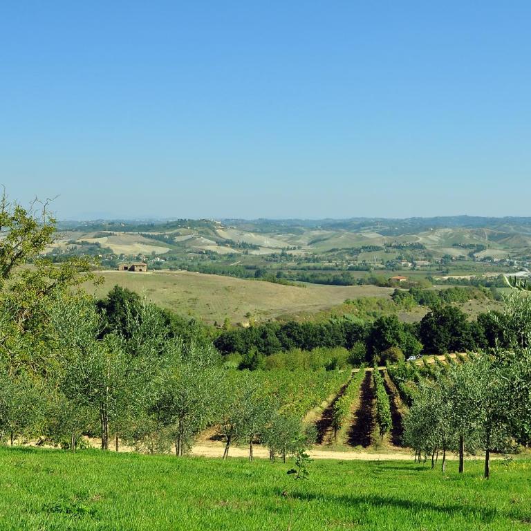 AGRITURISMO IL PINO - APPARTAMENTO CIPRESSO - Appartamento con 2 Camere da Letto - 43