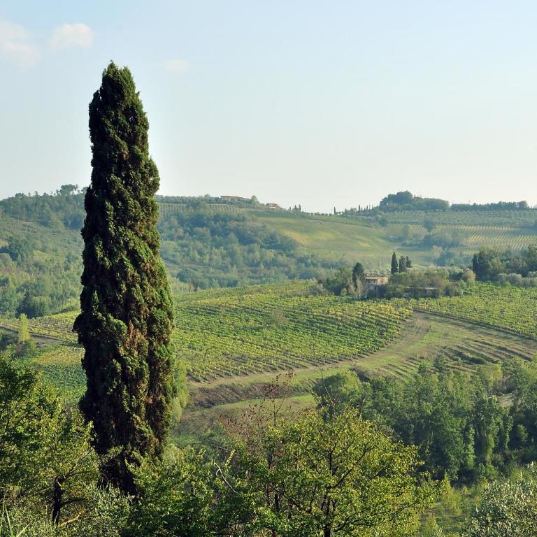 AGRITURISMO IL PINO - APPARTAMENTO CIPRESSO - Appartamento con 2 Camere da Letto - 45