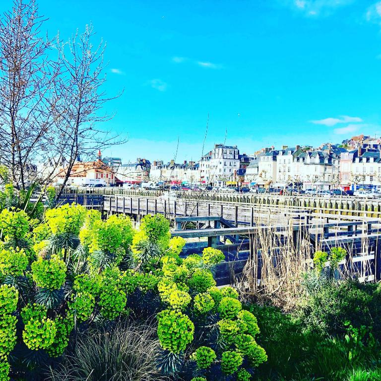 Appartement Trouville Plage - Apartment - 13