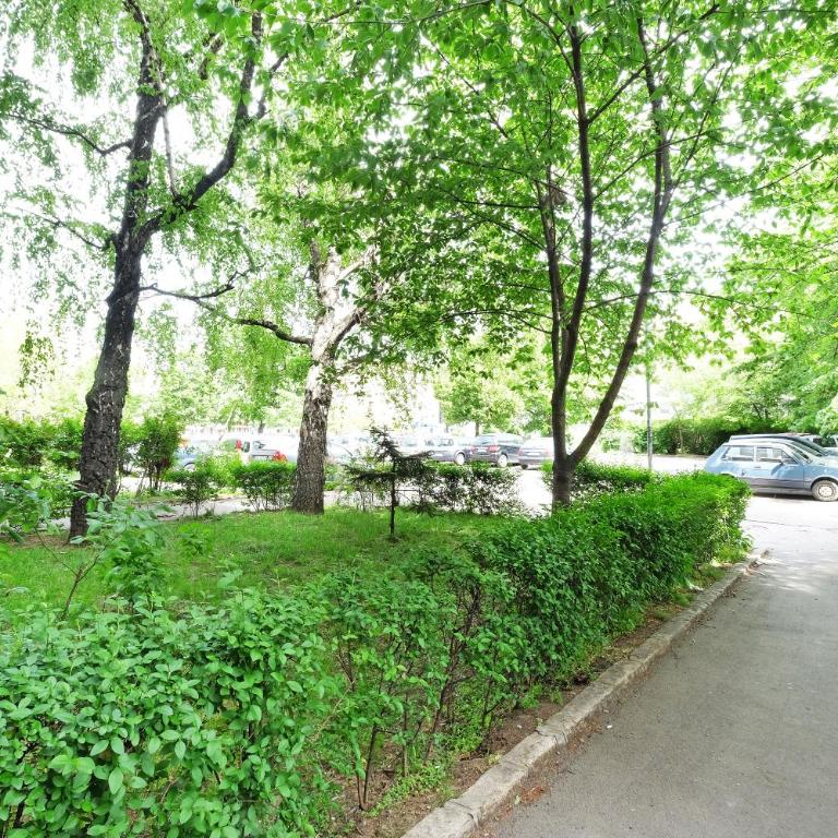 Belgrade Sweet Home Apartment - Apartman sa 2 Spavaće Sobe - 25