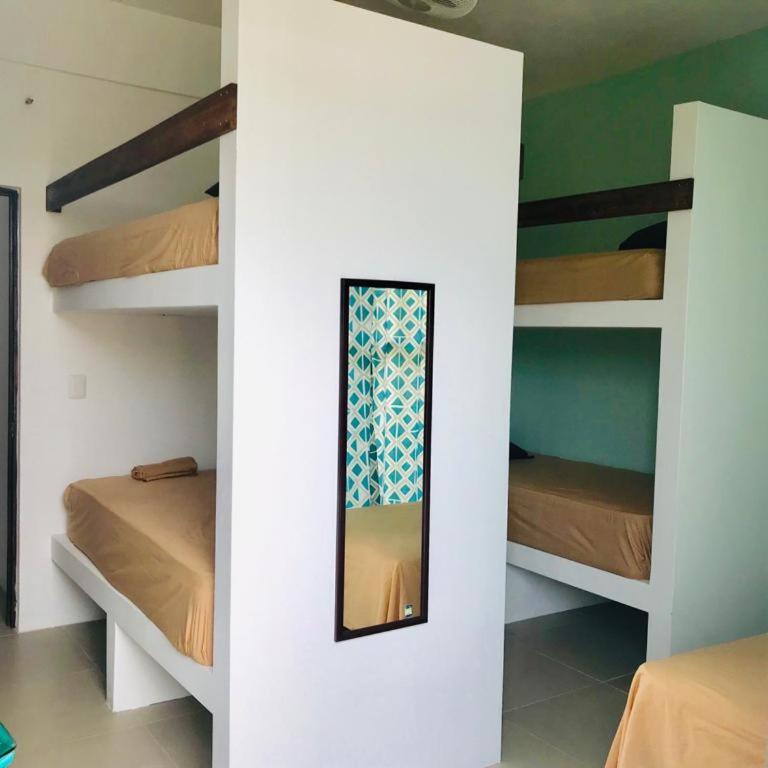 Paziflora Hostel -STARLINK- - Litera en habitación compartida - Solo mujeres - 8