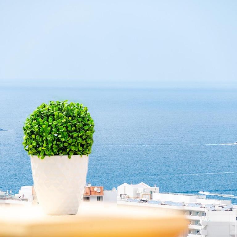 Windsor Panoramic Las Americas - Apartamento con vistas al mar - 4