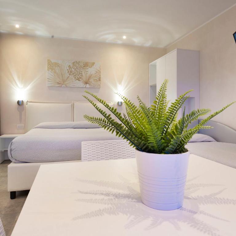 White Suite & Apartments - Monolocale Standard - 2