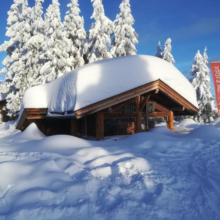 Holzfällerhaus Melkstatt - Haus mit 3 Schlafzimmern - 49