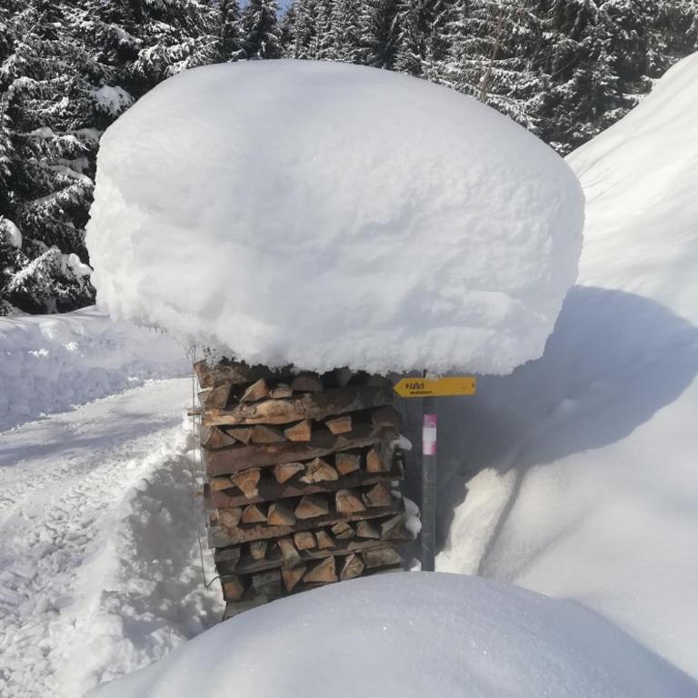 Holzfällerhaus Melkstatt - Haus mit 3 Schlafzimmern - 41