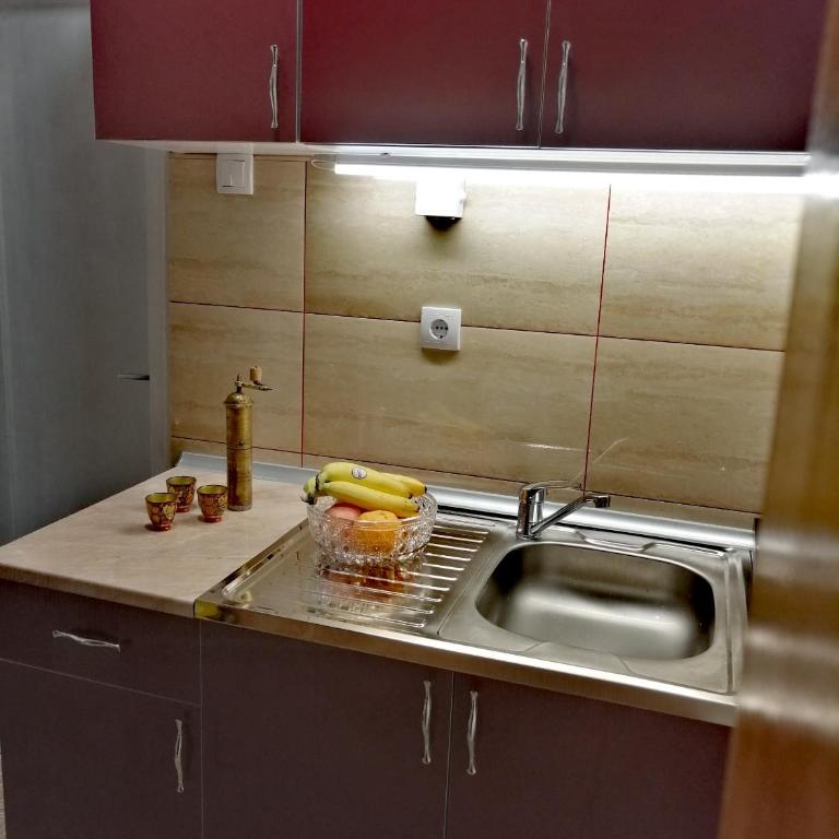 Duplex Mihajlović-Vrnjačka Banja - Apartman sa 2 Spavaće Sobe - 25