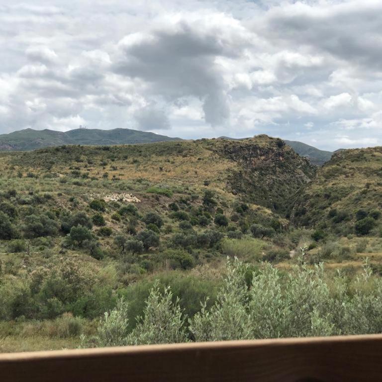 El Cortijillo - Casa - 25