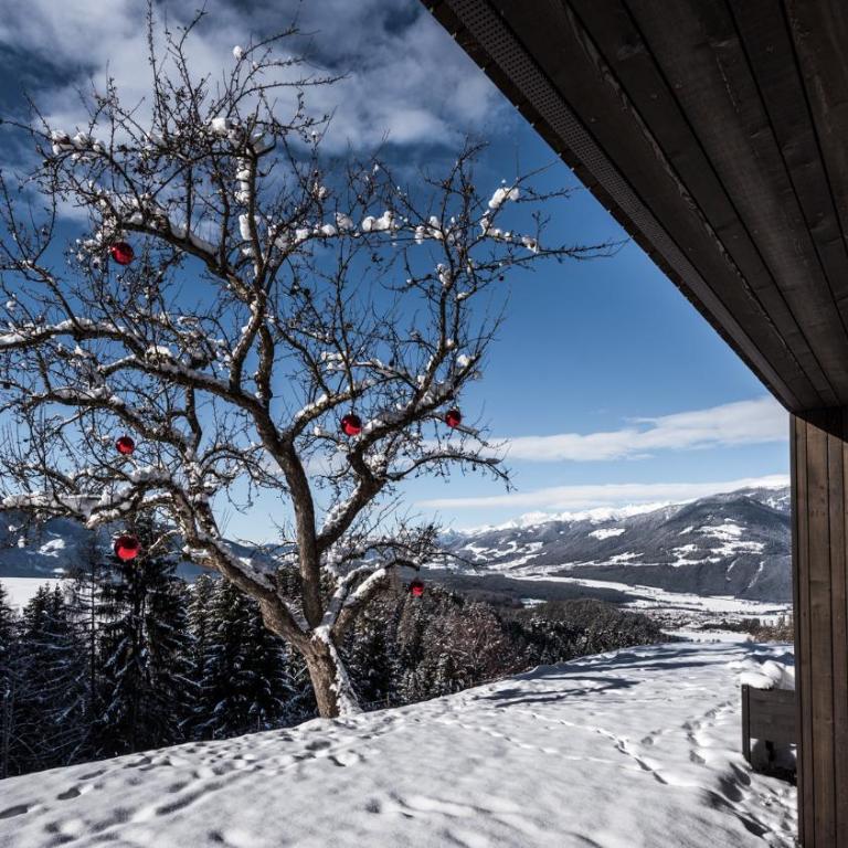 naturApart - Appartamento con 2 Camere da Letto e con Vista Montagna - 11