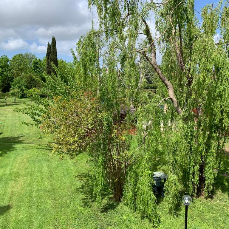 Villa Favilli - Villa - 34