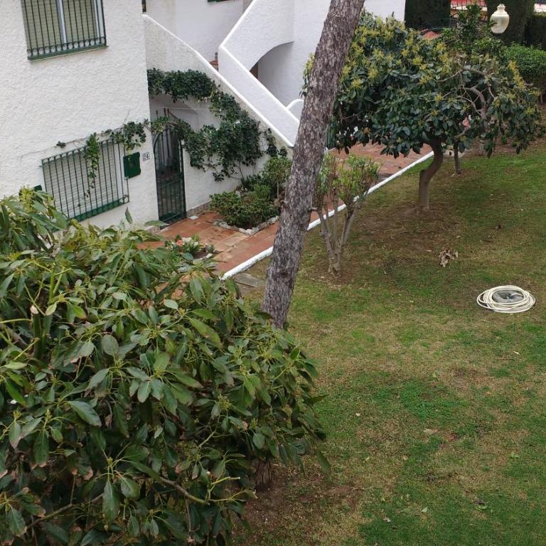 Apartamento La Orquídea - Apartamento de 2 dormitorios - 21