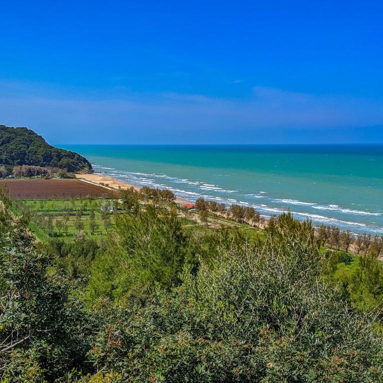 Casa le ripe 39-41 - Appartamento - 29