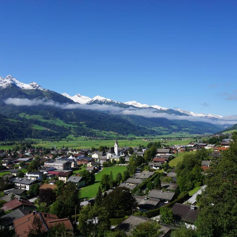 alpin penthouse - Apartment mit Blick auf die Berge - 21