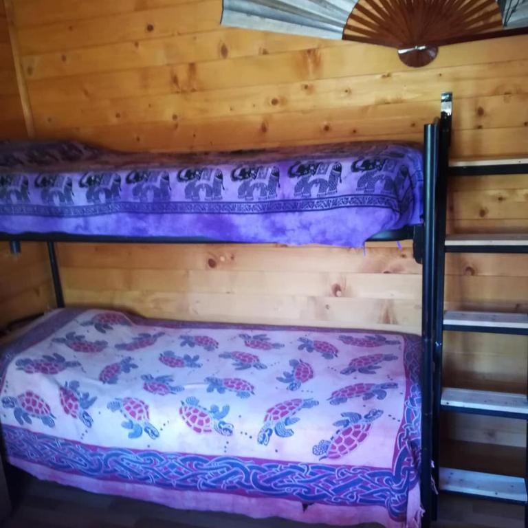 CAMPING IL MELO - Bungalow mit 2 Schlafzimmern - 2