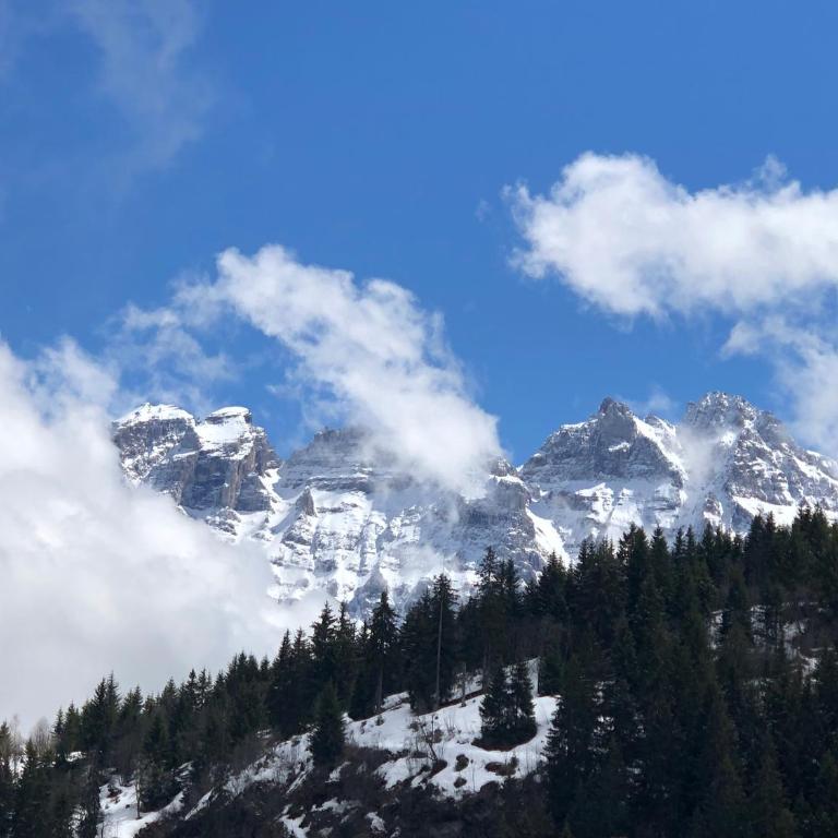 Chalet LYS Apartment 14 Rue Sigma - Apartment - 8