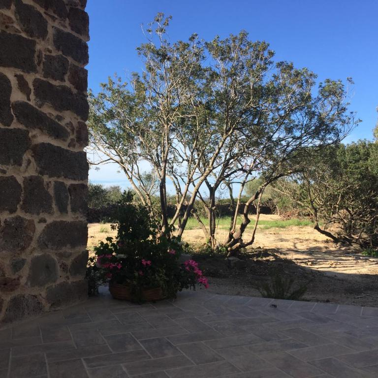 Sa Domo de Mannoi Su Catreathu - Casa Vacanze - 47