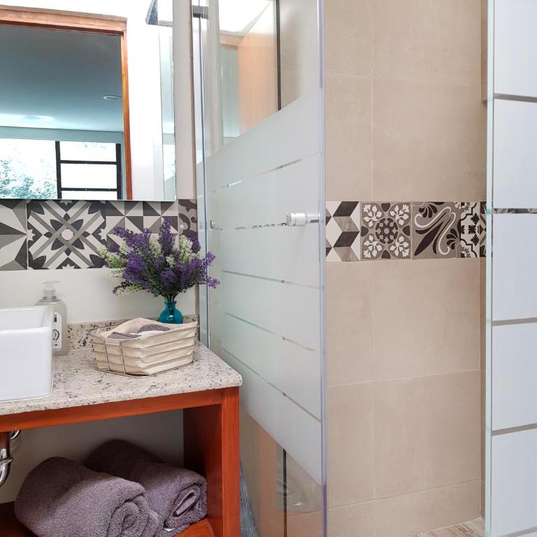 Habitaciones Coyoacan (UNAM) - Quadruple Room with Private Bathroom - 7