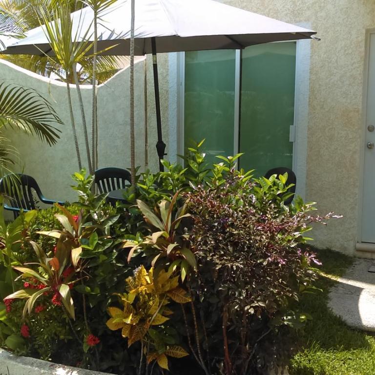 Depa Marina Diamante · Depto PB internet Alberca Palapa Acapulco Marina Diamante - Apartamento de 2 dormitorios - 38