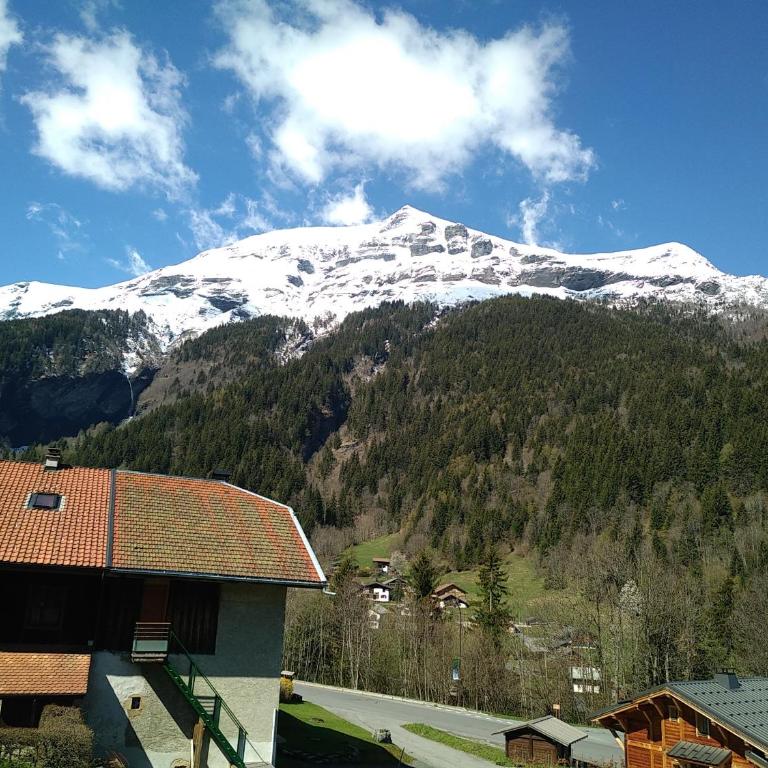Le Nant - Appartement 1 Chambre - 10