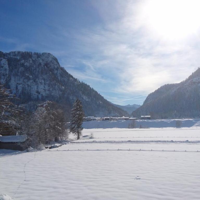 Haus Schwalbennest - Apartment mit Blick auf die Berge - 1