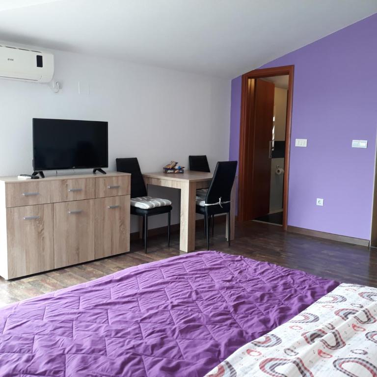Studio apartman Milica - Apartman sa Balkonom - 5