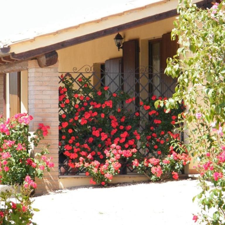 Agriturismo Casale del Contadino - Appartamento con 3 Camere da Letto - 2