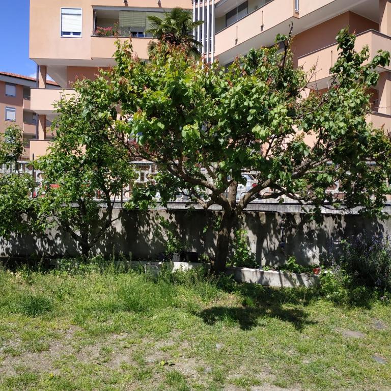 Casa Marina - Appartamento con 2 Camere da Letto - 27