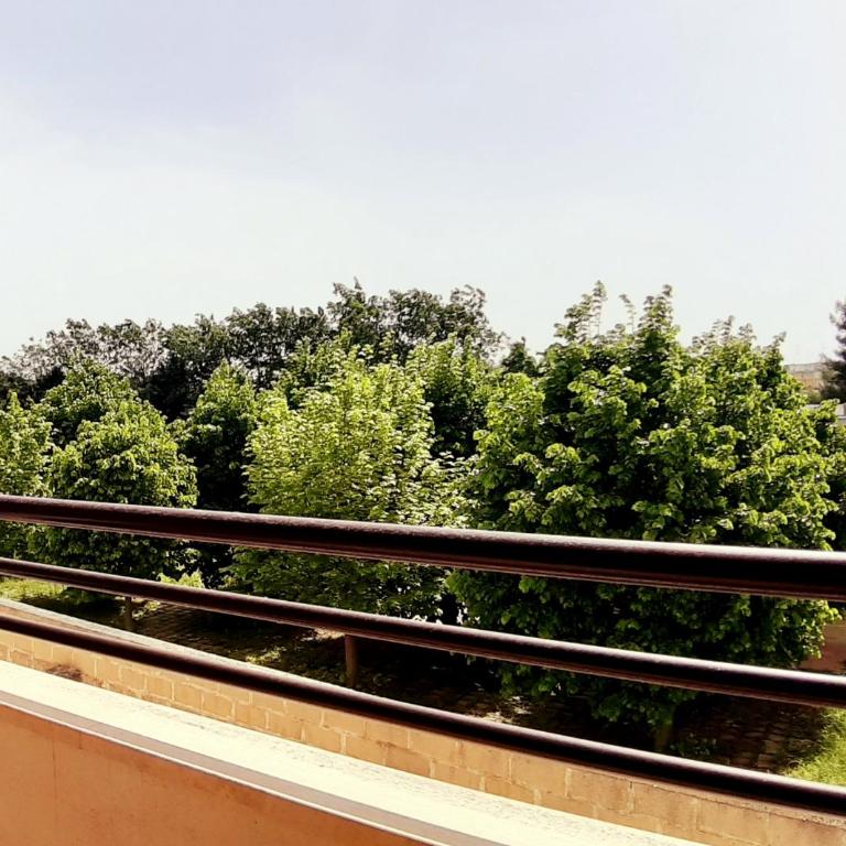 I due salentini - Appartamento con 2 Camere da Letto - 15