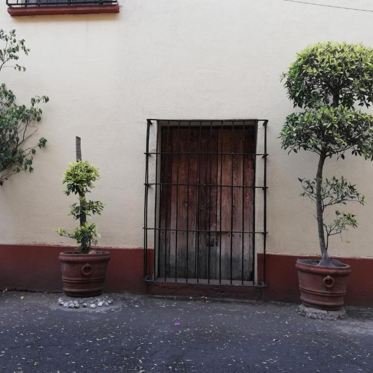 Hostal Centro de Coyoacan - Suite - 9