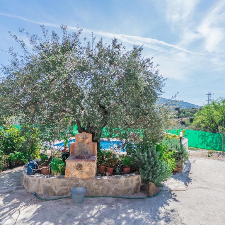 Cubo's Finca Jara - Three-Bedroom House - 32