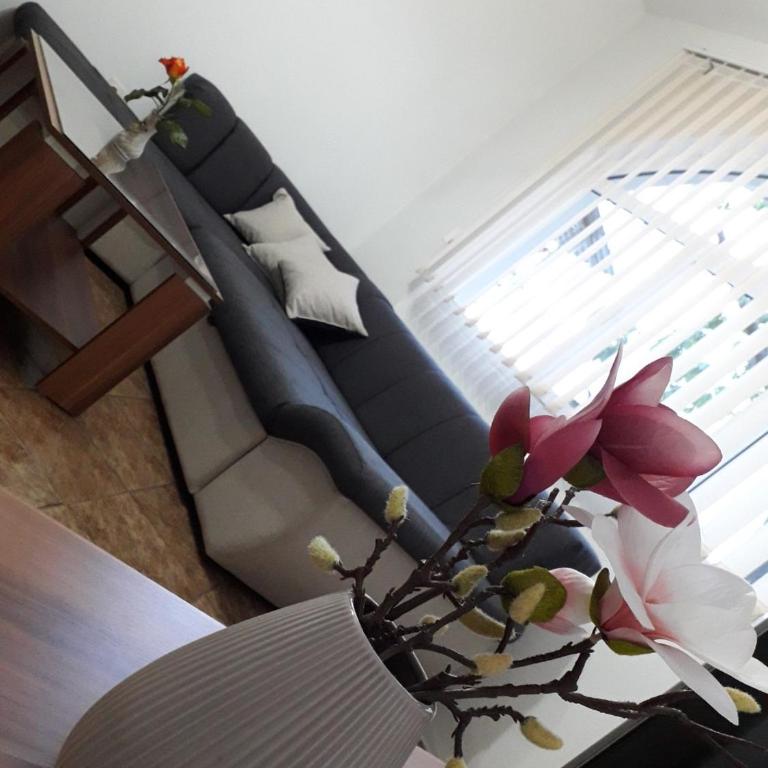 Apartman Samardzic - Apartman sa 1 Spavaćom Sobom - 6