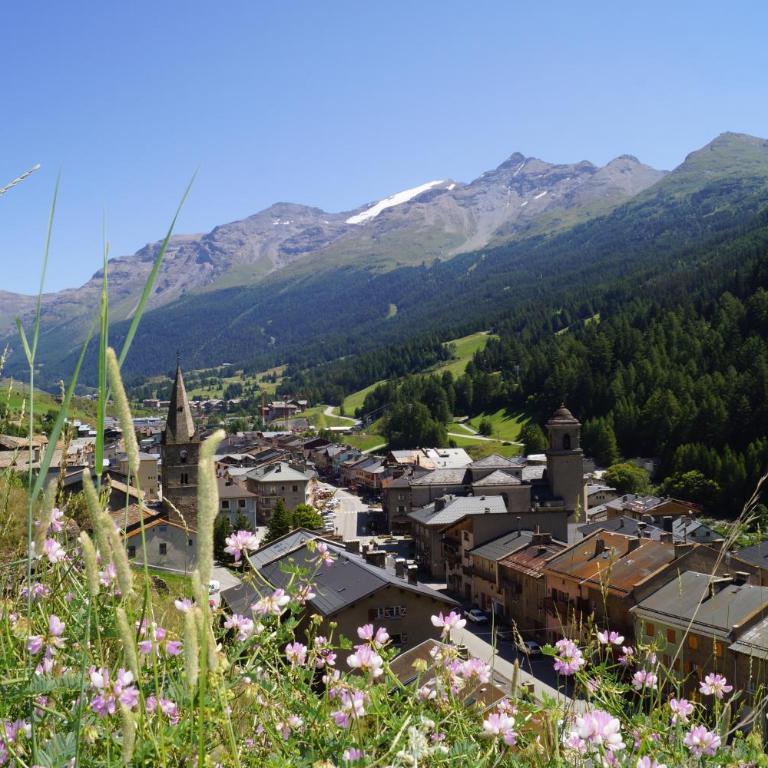 La Turra Val-Cenis Lanslebourg - Appartement 1 Chambre - 18