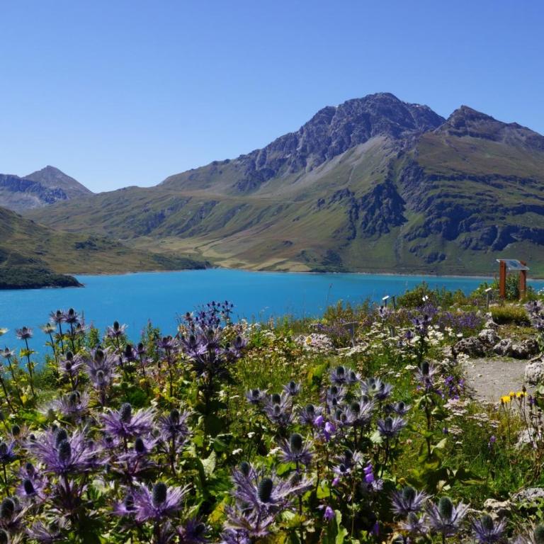 La Turra Val-Cenis Lanslebourg - Appartement 1 Chambre - 20