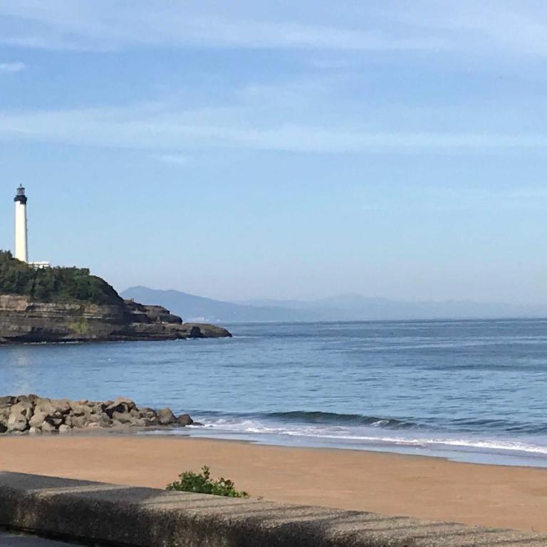 Spacieux T2 remis à neuf, à 3 min des plages, terrasse - Appartamento con 1 Camera da Letto - 11