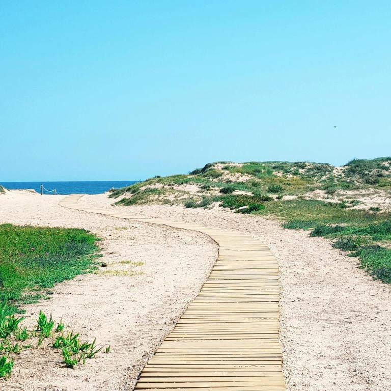 Apartamento con piscina en Oliva Nova - Apartamento con vistas al mar - 15